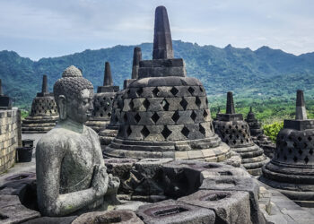 Ouverture des procédures de dépôt des candidatures à la bourse de coopération Sud-Sud (bourse KNB), au titre de l’année 2026